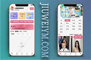 AI换脸源码/AI脱衣源码/手动脱衣源码/视频换脸源码/可二开/自定义模版/源码全开源